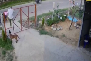 Video hài hước