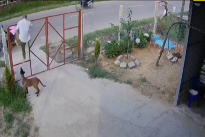 Video hài hước