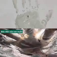 Cuộc chiến giữa Đế muỗi và phàm nhân