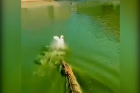 Sự thư giãn và giải trí cho con người: